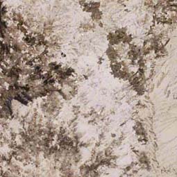 alpine white granite - Lakewood