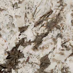bianco antico granite - Lakewood